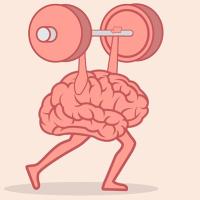 Hjerne der dyrker vægtløftning